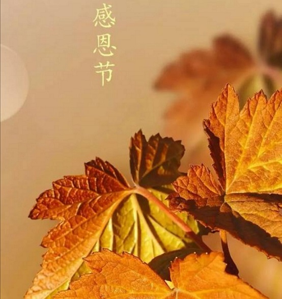 感恩遇見！